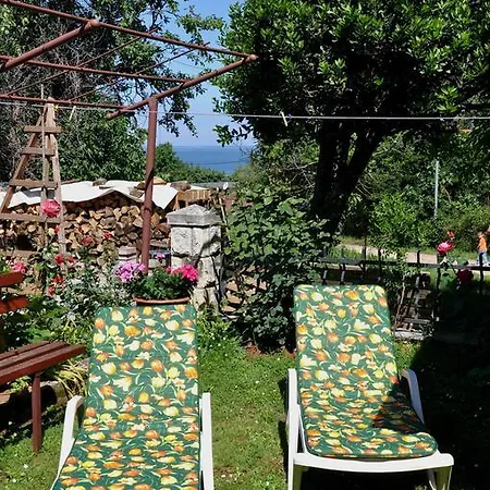 Apartmán Sonja-dajla